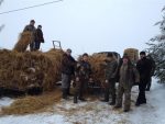 Zimowa akcja dokarmiania - Szynwałd 2013 rok