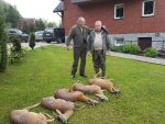 Efekty jednego wyjścia - Trzemesna 2017 rok