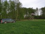 Naprawa ambony na Ładnej 2019